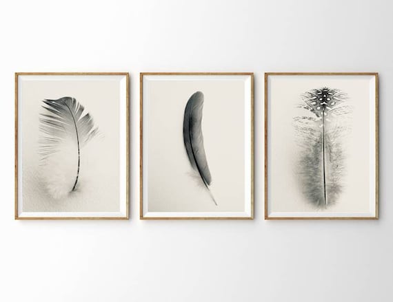 5 Feather Photo Gallery Wall Set Abstract Macro Printable Set Photography Fine Art Print Minimalist Wall Art Modern Farmhouse Boho Feathers