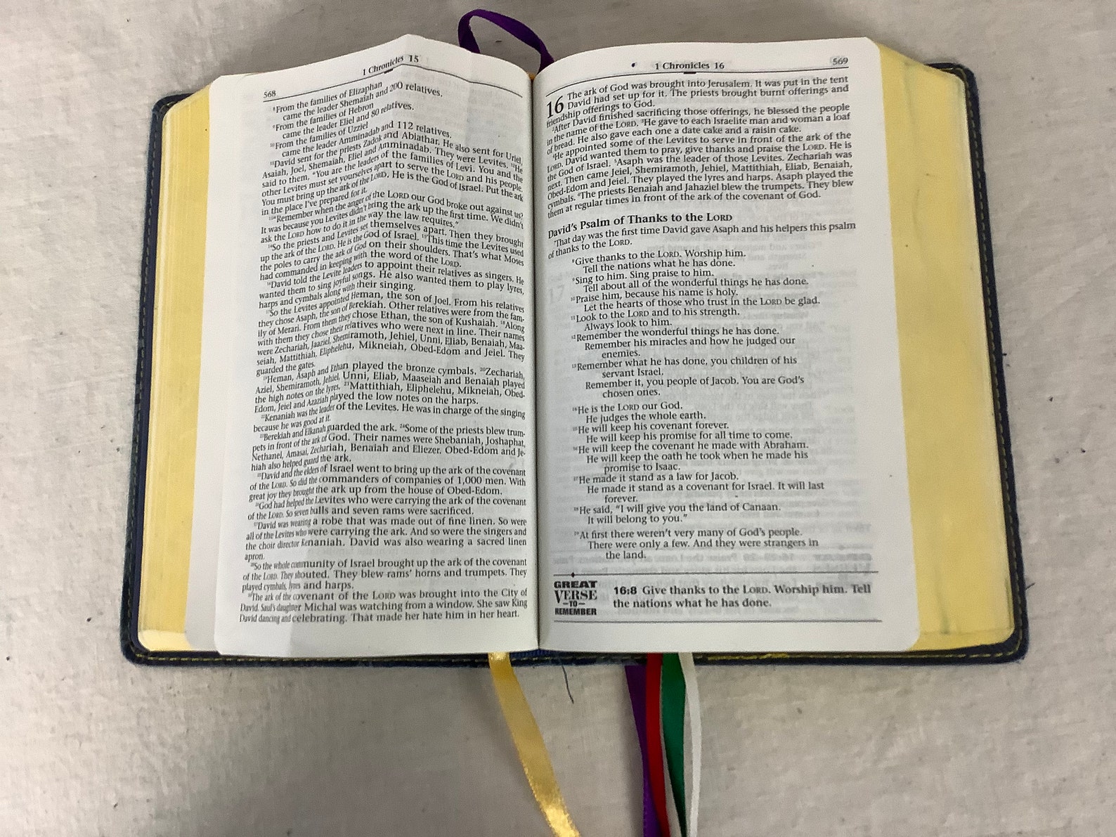 The Backpack Bible Zonderkidz the Holy Bible Etsy