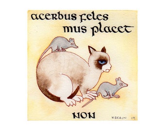 Celtic Art Grumpy Cat in Latin