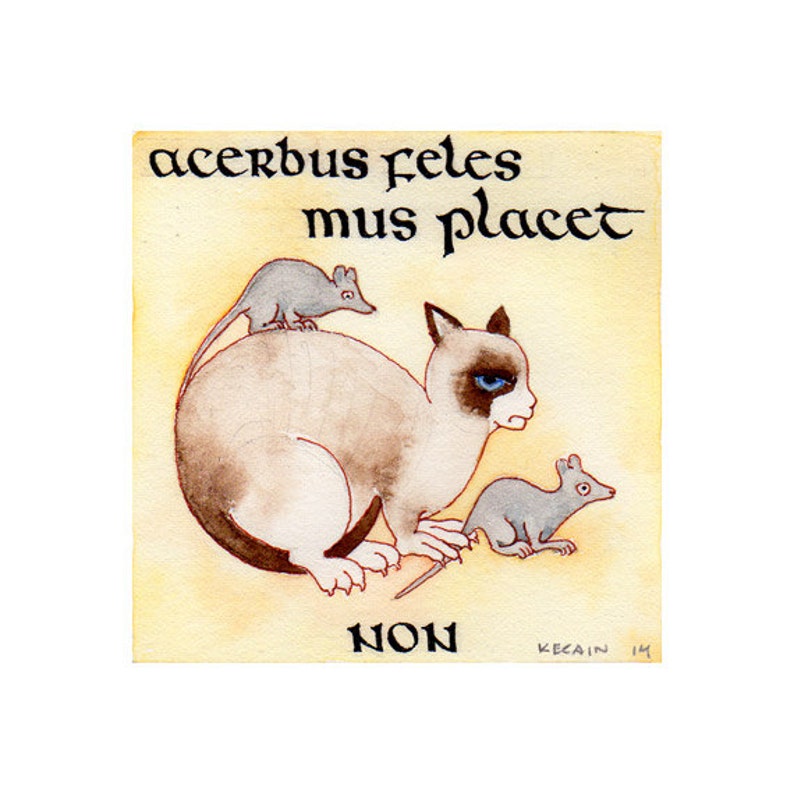 Celtic Art Grumpy Cat in Latin Etsy