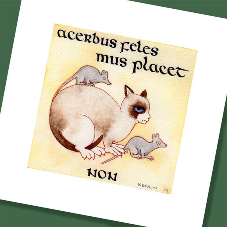 Celtic Art Grumpy Cat in Latin Etsy