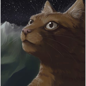 May include: Digital painting of a brown cat looking up at a starry night sky. The cat has light-colored eyes and a pink nose. Mountains are visible in the background. The artwork is signed "A.Vanstone 2011" and dated "4.19.11".