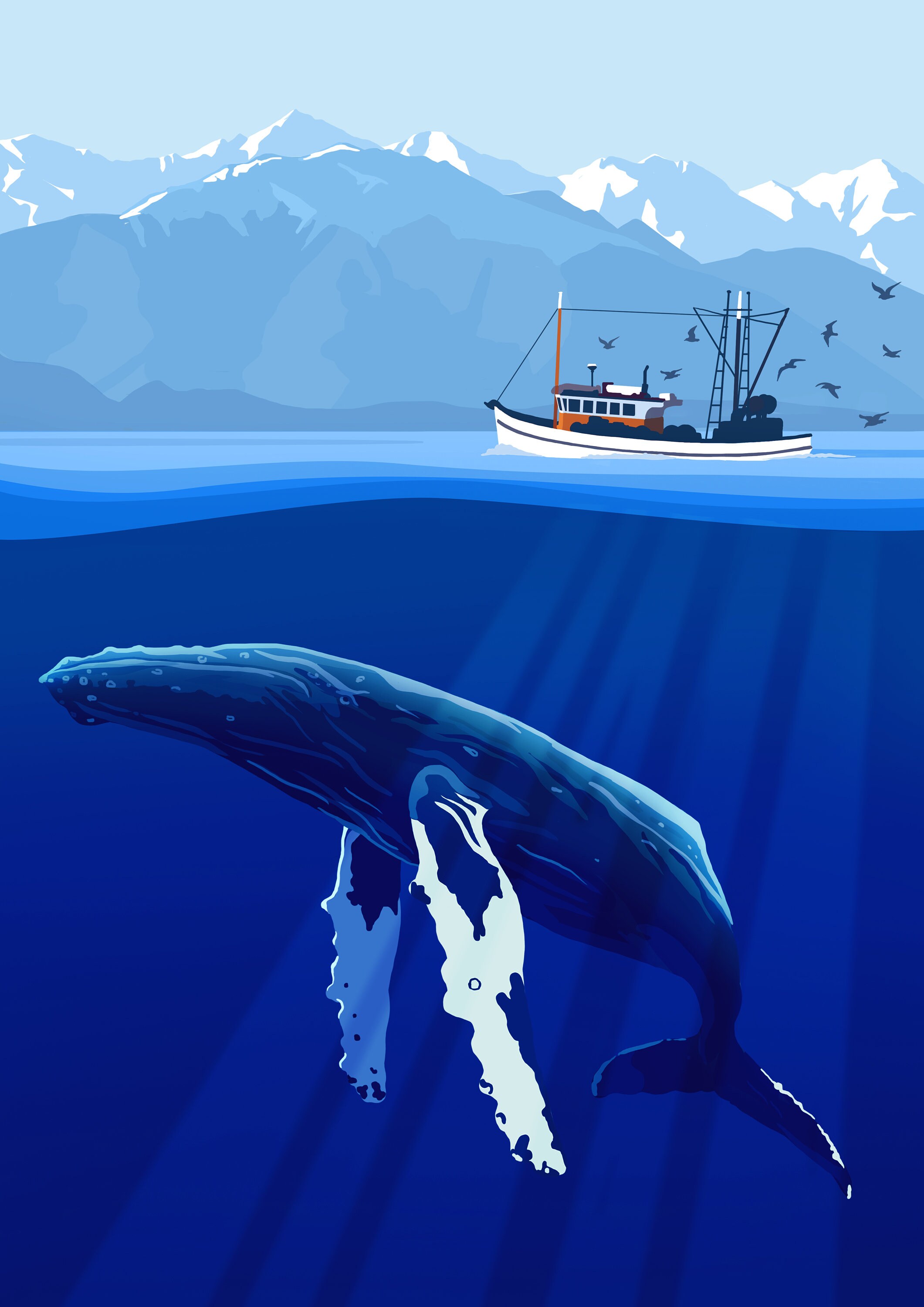 Kaikoura Travel Poster