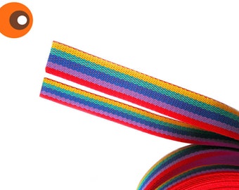 2m Rainbow Webbing 30mm