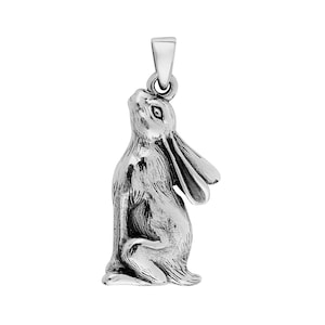 Beautiful Moon Gazing Hare Pendant