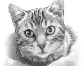 Pencil Sketches All Subjects Hand Drawn Pet Portrait Drawings - Etsy UK
