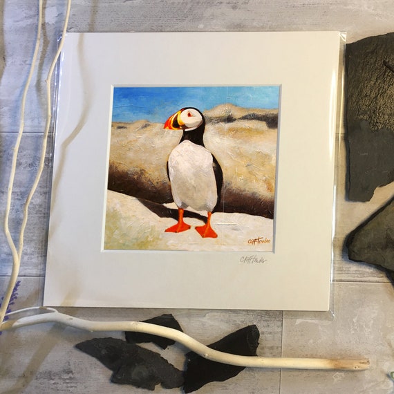 Puffin Framed Photo Hand Framed Wildlife Print Puffin On Cliff