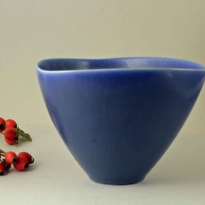 Peut inclure: Un bol en céramique bleu profond avec une finition mate lisse et un bord organique légèrement incurvé. Le bol présente une base effilée et une large ouverture. À côté du bol se trouve une petite grappe de cynorrhodons rouge vif.