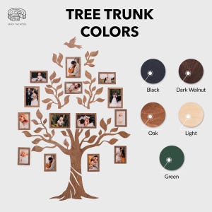 Puede incluir: Un marco de fotos de tronco de &aacute;rbol de madera con 14 marcos de fotos unidos a las ramas. El tronco del &aacute;rbol est&aacute; disponible en cinco colores: negro, nogal oscuro, roble, claro y verde. El texto "TREE TRUNK COLORS" est&aacute; en la parte superior de la imagen.