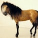 see more listings in the Horses: Sculptures section