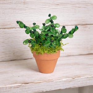 May include: A miniature plant in a terracotta pot, featuring green glass bead leaves and black bead accents. The plant rests on green moss. The pot is set against a white wooden backdrop.