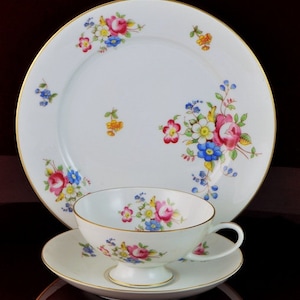Vintage Rosenthal Selb Germany Tea Cup, Saucer and Cake Plate Set Rosenthal Flower Floral High Tea Tea and Dessert Plate