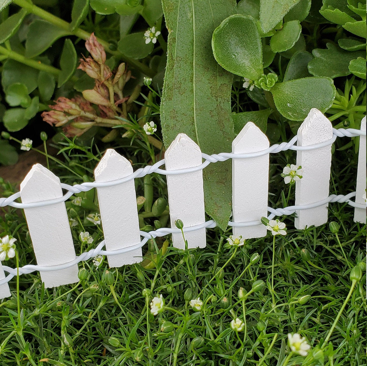 Fairy Garden Fence Mini White Picket Fence Miniatures Fairy Etsy