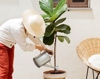 Regadera de zinc, Regadera hecha a mano con pico, Artículos para el hogar de jardín, Listo para enviar