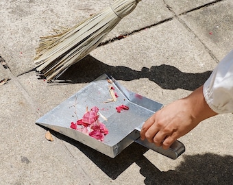 Zinc dustpan and handbroom, Traditional Gardening kit, Made in Portugal