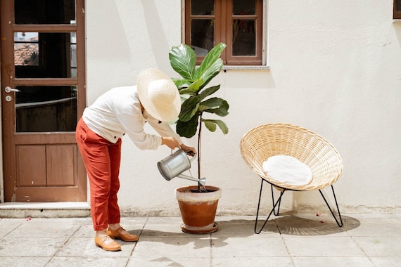 Wicker cone chair deals