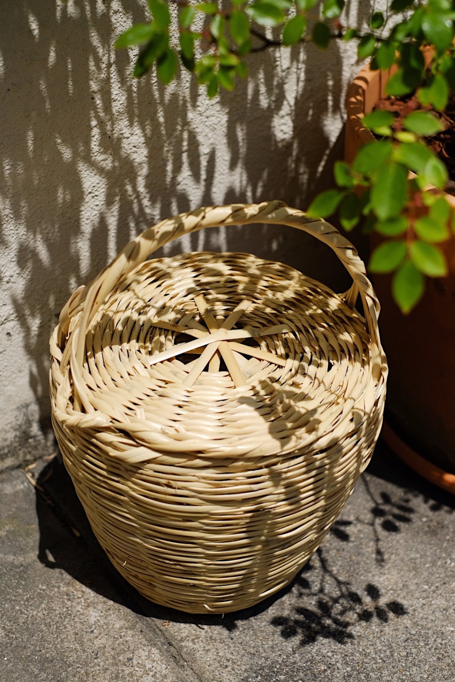Cane Basket with Lid Large Birkin Basket Etsy