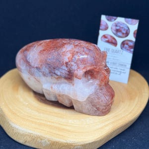 Quarzo di fuoco da 2,4 libbre Teschio di quarzo ematoide con scheda informativa sui cristalli TF64 Guarigione degli antenati