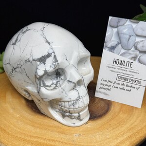 Teschio di cristallo di Howlite – 2 libbre 6 once Include scheda informativa – TG36 guarigione degli antenati