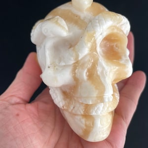 Teschio e serpenti in calcite arancione TR69 con scheda informativa in cristallo