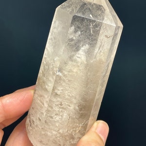 Incroyable inclusion de quartz de jardin en lodolite brésilienne avec carte d'information en cristal T162