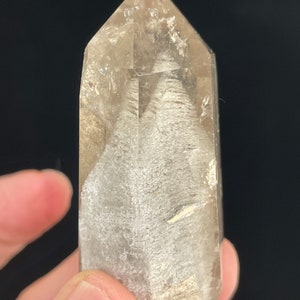Incroyable inclusion de quartz de manifestation de lodolite brésilienne avec carte d'information B17B en cristal