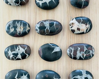Unique Septarian palm stone from Morocco earth connection T59A with crystal info card