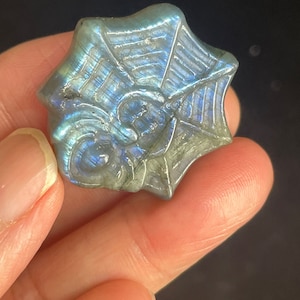 Mini labradorite flashyToile d'araignée avec carte d'informations en cristaux TM73