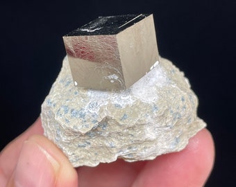 Pyrite cube in matrix from Spain protective with crystal info card G43K