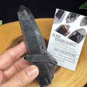 Rare quartz fumé noir Morion TG37 de 4,3 po. avec cristaux Informations sur la carte Mongolie-Intérieure