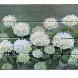 White hydrangeas