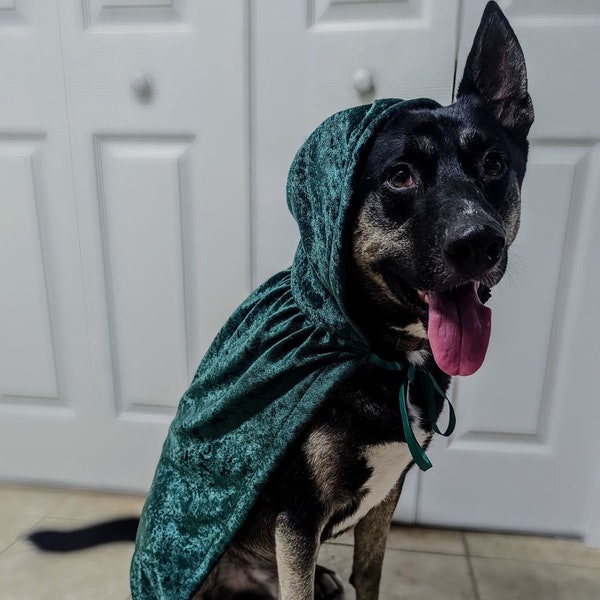 Dog Cape Etsy
