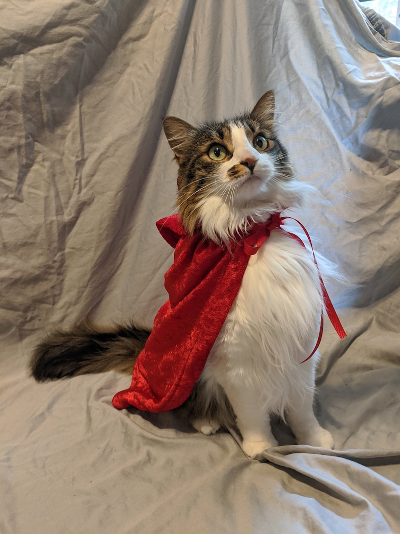 Cat Cape avec costume de capot Etsy