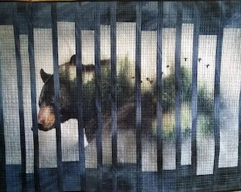 Bearly Double Vision Quilt/Wall Hanging Pattern
