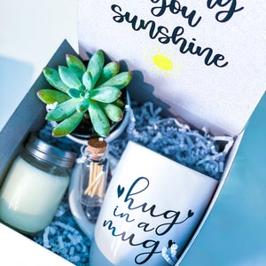 Sending You Sunshine Succulent Gift Box - Thinking of You - Hug in a Mug - Gift for Mom - Gift for Best Friend - Gift for Her - Care Package