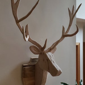 Deer/Buck head XL - wall mounted
