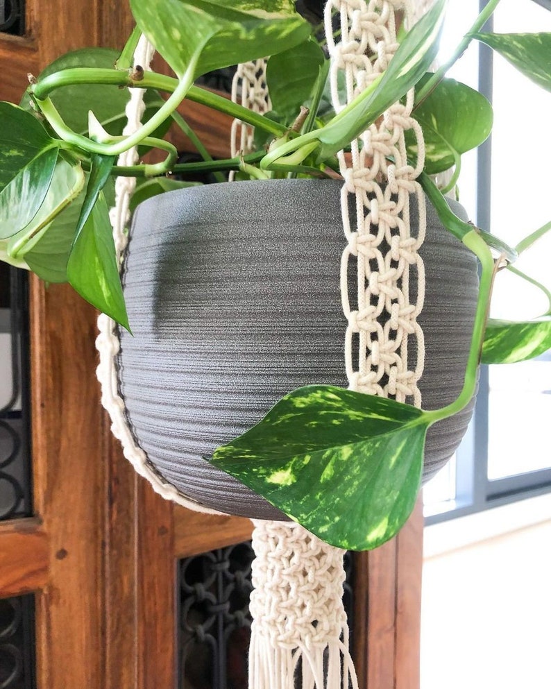 Pu&ograve; includere: Un vaso in ceramica grigia con una pianta verde appesa a un portavasi in macram&egrave; bianco.