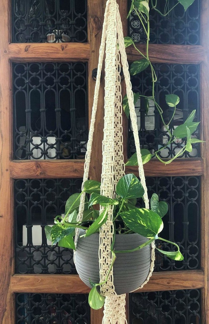 Pu&ograve; includere: Un portavasi in macram&egrave; con un vaso grigio e una pianta verde appesa. Il portavasi &egrave; realizzato in corda di cotone naturale e presenta un motivo a nodi. La pianta &egrave; una pianta ricadente con foglie verdi.