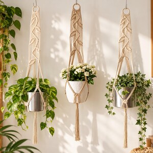 Macrame Plant Hanger DIY Tutorial: Vine Pattern (PDF Download)