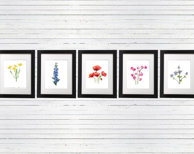 5 Wildflower Botanical Prints Watercolor Art Flower Paintings Flower Art Flower Painting Set Watercolor Pressed Flowers Art Collectibles Watercolor Efp Osteology Org