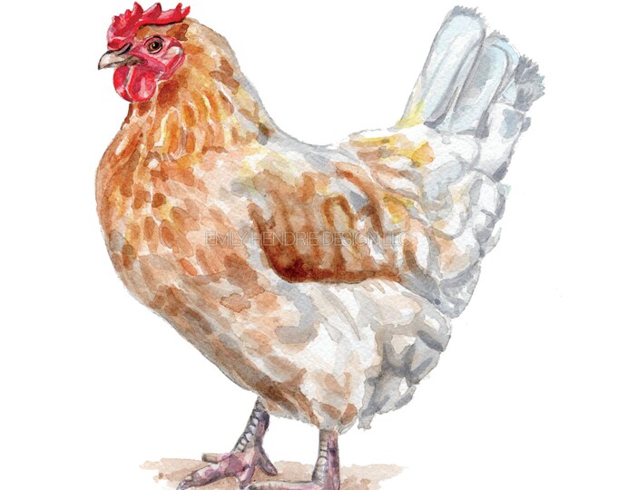 Download Watercolor Chicken Farmhouse Chicken Chicken Art Farmhouse Decor Farmhouse Art Chicken Art Kitchen Gift Gift For Her Art Collectibles Painting Deshpandefoundationindia Org