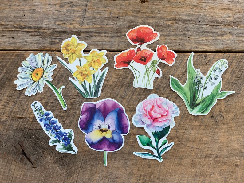 Poppy Flower Vinyl Sticker / Wildflower / Poppy Flower Sticker - Etsy