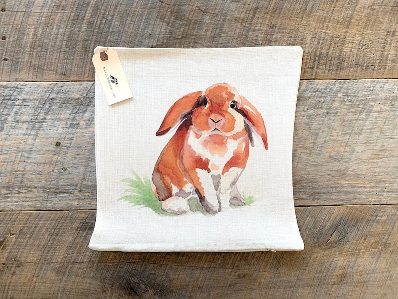 Puede incluir: Una pintura de acuarela de un conejo marr&oacute;n y blanco sentado en un parche de hierba verde. El conejo tiene orejas grandes y est&aacute; mirando directamente al espectador.