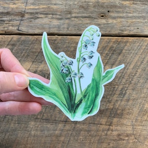 Pegatina de vinilo con la flor de lirio de los valles / Flor del mes de nacimiento de mayo / Pegatina con la flor de lirio de los valles