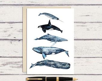 Watercolor Whales Chart Greeting Card /  5 x 7 Greeting Card/ A7 Watercolor Greeting Card / Beach Card / Whale Card / Blank Card