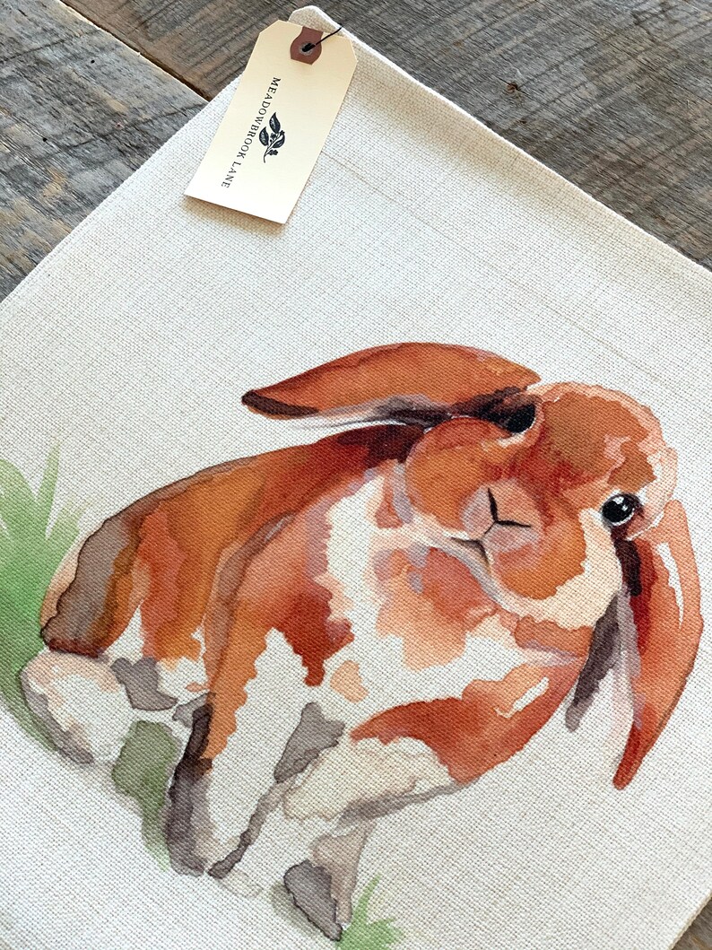 Puede incluir: Una pintura de acuarela de un conejo marr&oacute;n y blanco sentado en la hierba verde. El conejo tiene orejas grandes y una cola esponjosa. La pintura est&aacute; sobre un lienzo blanco con una etiqueta que dice "Meadowbrook Lane".