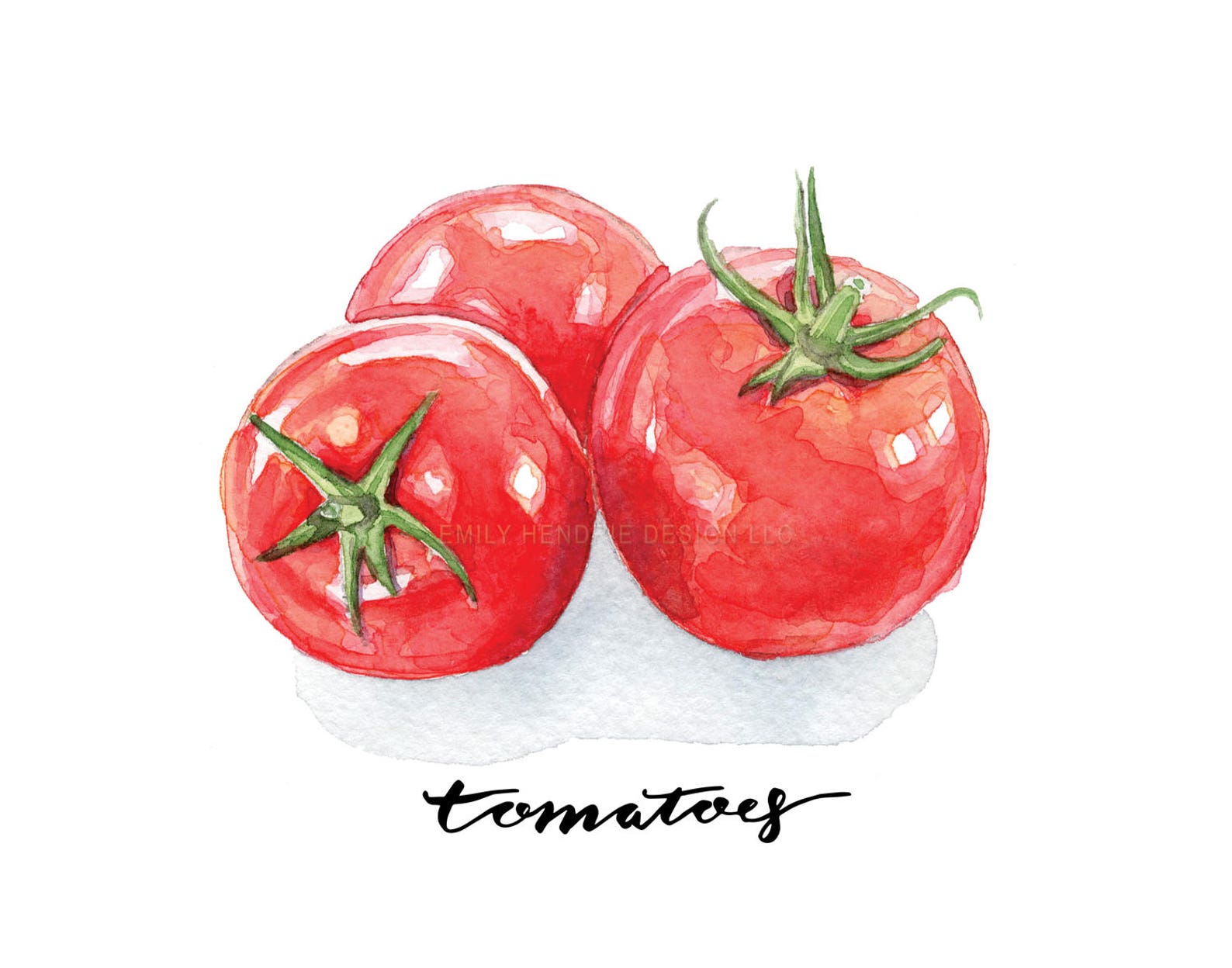 Tomato Botanical Print Watercolor Painting / Tomato Art / Etsy