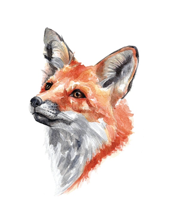 Fox Watercolor Print Watercolor Fox Art Print Fox Face Etsy