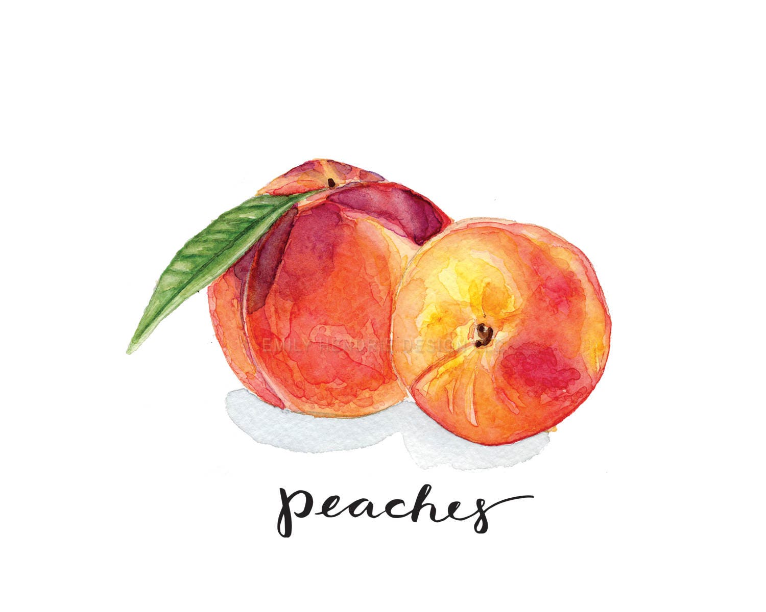 Peach Botanical Print Watercolor Painting / Peach Art / | Etsy