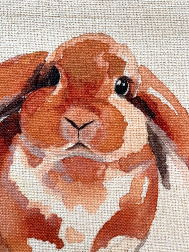 Puede incluir: Un primer plano de la cara de un conejo marr&oacute;n y blanco. El conejo tiene ojos grandes y oscuros y una nariz esponjosa. El pelaje del conejo es suave y parece estar pintado sobre un lienzo.